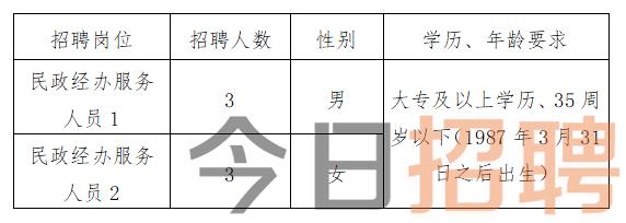 沙縣科技局等最新招聘信息詳解及應聘指南